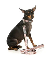 Daily Grind Dog Lead -FINAL SALE NO RETURNS OR EXCHANGES